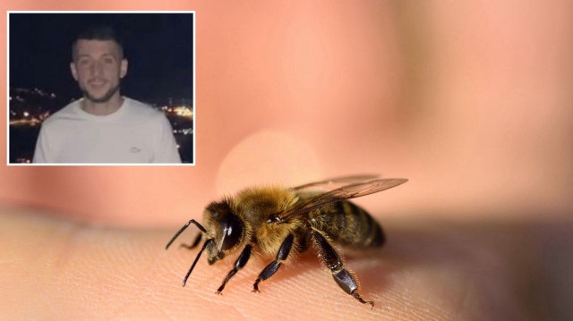 Arının soktuğu genç saatler içerisinde yaşamını yitirdi 1 Arının soktuğu genç saatler içerisinde yaşamını yitirdi