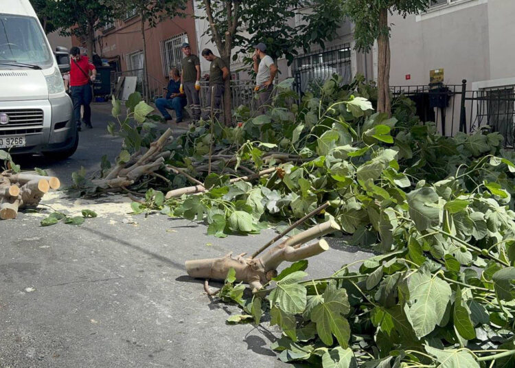 İstanbul’da fırtına: Ağaçlar devrildi, 2 kişi yaralandı