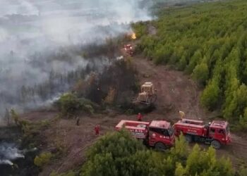 Orman yangınına müdahaleye giden arazöz devrildi
