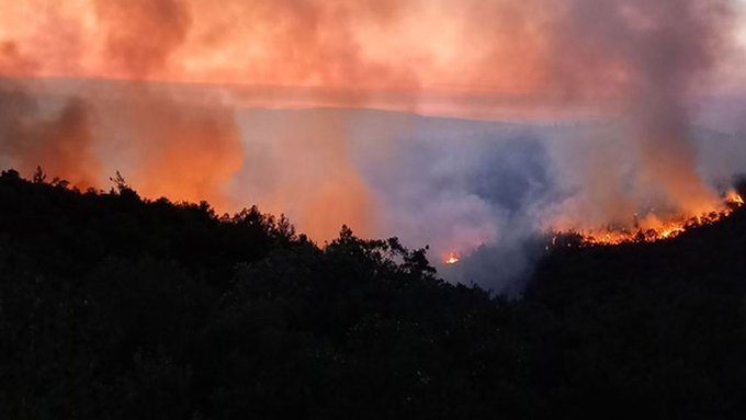 Define ararken ormanı yakan 5 kişi için istenen ceza belli oldu 1 Define ararken ormanı yakan 5 kişi için istenen ceza belli oldu