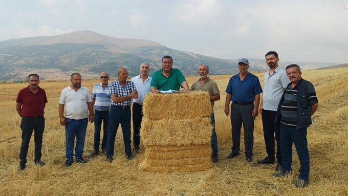 Son 2 yılda buğday ve arpadaki kayıp yüzde 47 1 Son 2 yılda buğday ve arpadaki kayıp yüzde 47