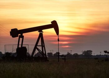 OPEC+ üyesi 8 ülke eylül ayında petrol üretim sınırını artırmayı planlıyor