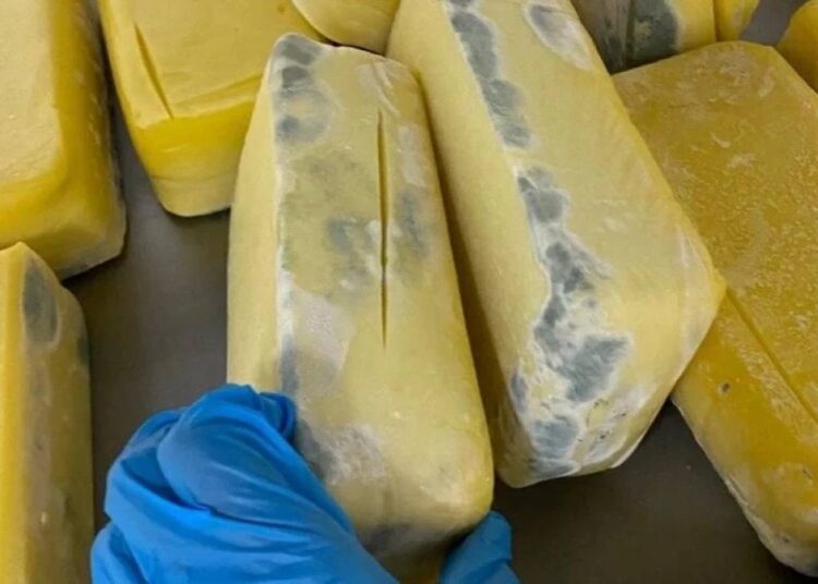 Piyasaya sürülmek istenen küflü tost peynirlerine el konuldu