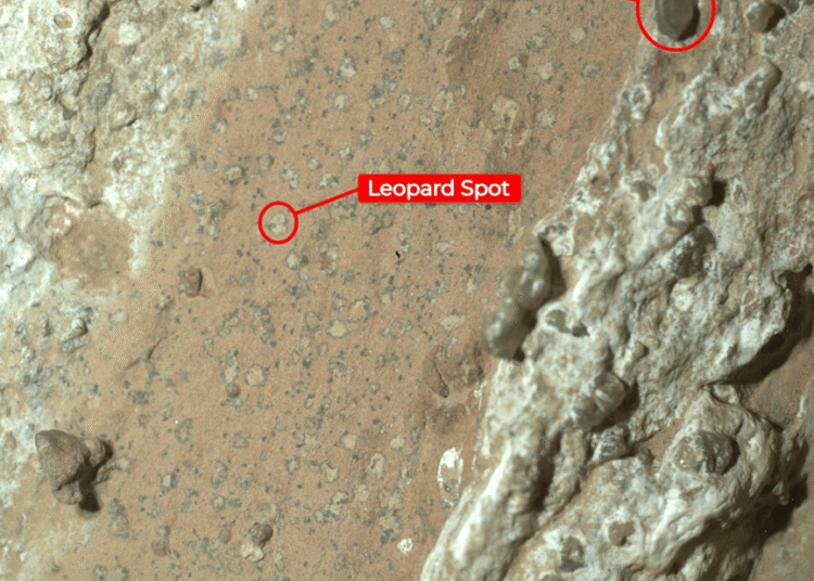 NASA açıkladı: Mars'ta bulunan leopar benekli kaya, en net yaşam belirtisi olabilir 1 NASA açıkladı: Mars’ta bulunan leopar benekli kaya, en net yaşam belirtisi olabilir