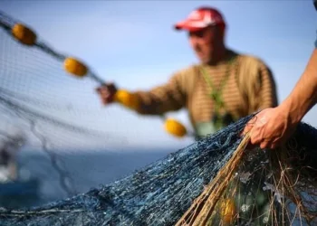 Balık sezonu açıldı
