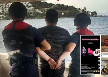 Halim Yılmaz yazdı I Gençler, suç işleyip ‘çetelere’ cv sunuyor