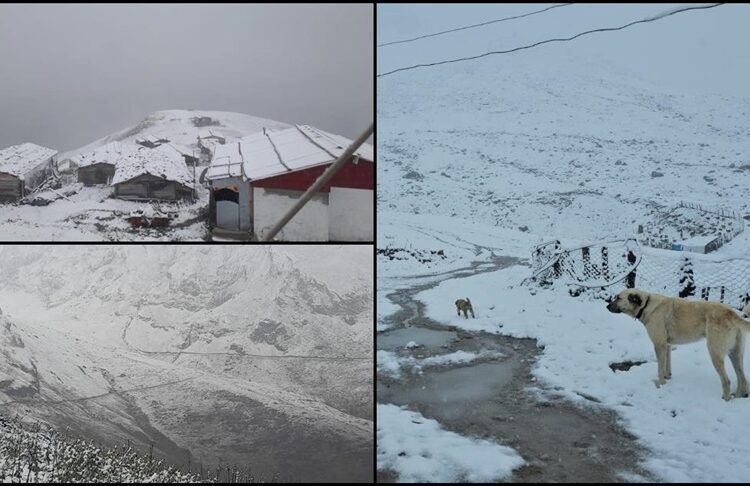 Rize, Artvin ve Ardahan'da yüksek kesimlere kar yağdı 1 Rize, Artvin ve Ardahan’da yüksek kesimlere kar yağdı
