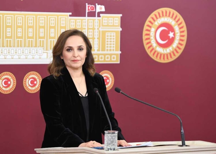 DEM Parti Sözcüsü Doğan’dan komisyona “bir yol haritası yok” eleştirisi