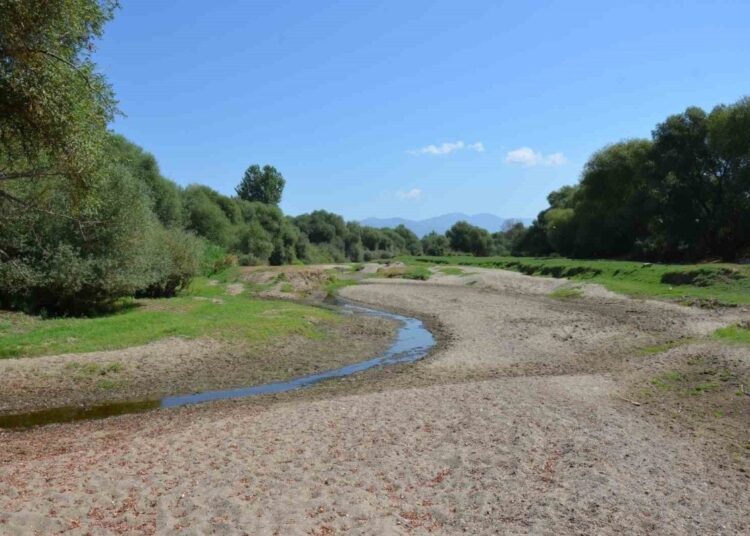 Kuraklık Gediz Nehri’ni de vurdu: Suyu tamamen kurudu