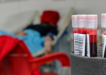 İspanya’dan gelen kanla hayata tutundu