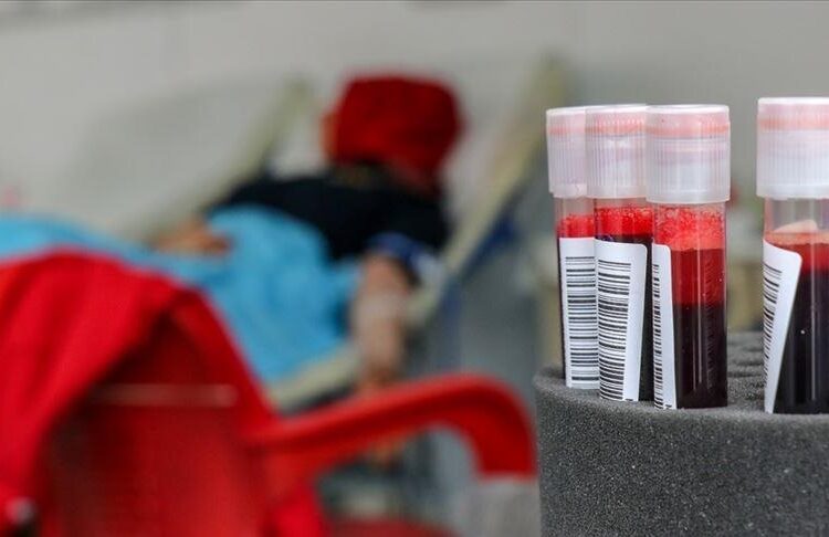 İspanya’dan gelen kanla hayata tutundu 1 İspanya’dan gelen kanla hayata tutundu