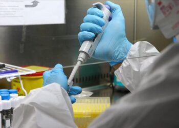 Yapay zeka ile geliştirilen virüsler, E. coli bakterisini yok etti