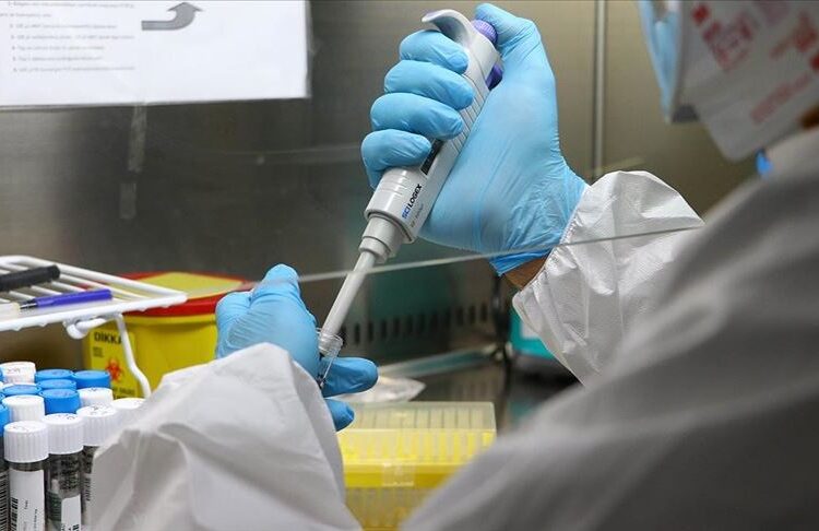 Yapay zeka ile geliştirilen virüsler, E. coli bakterisini yok etti