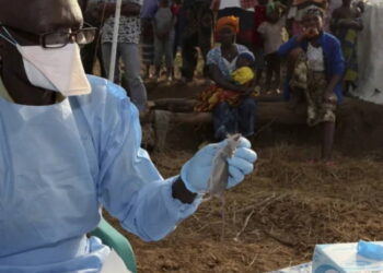 Fare dışkısıyla temas ettiler: Lassa ateşi 356 kişinin ölümüne neden oldu