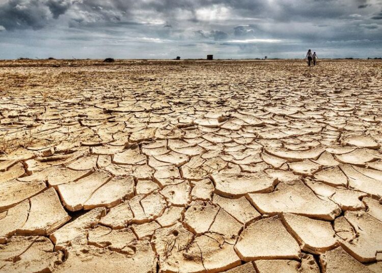 Kuraklık Anadolu’yu kavuruyor: Uzmanlardan ‘kalıcı iklim kayması’ uyarısı I Tuna Cevher yazdı