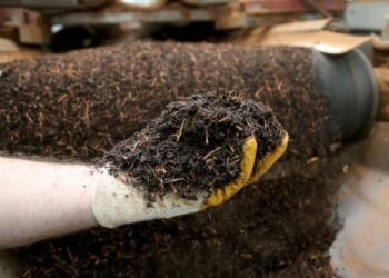 Kanserojen madde tespit edilen Türk çayları Almanya’da toplatılıyor