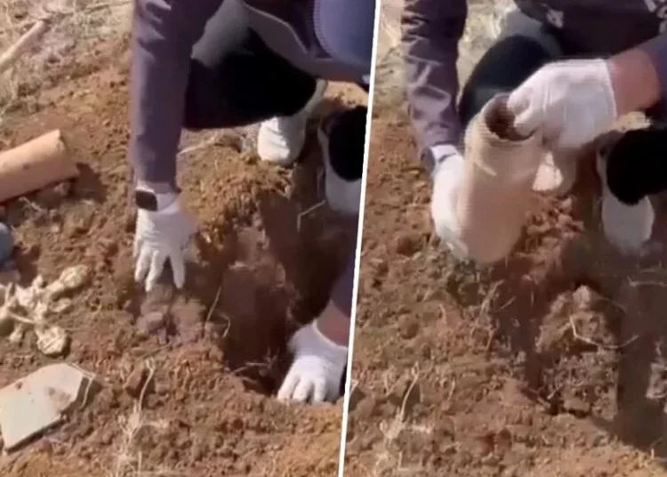 Bu da sahte define çetesi: Kendi gömdüklerini buldurup dolandırdılar