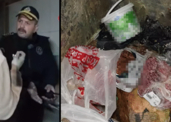 Pidecideki kokmuş etleri gören zabıta isyan etti: “Bunları vatandaş mı yedirecektiniz?”