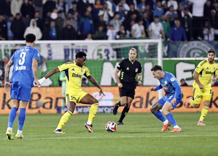 Safa Kar yazdı I İstanbul’da yaralı martı, Rize’de şen kanarya! 1 Safa Kar yazdı I İstanbul’da yaralı martı, Rize’de şen kanarya!