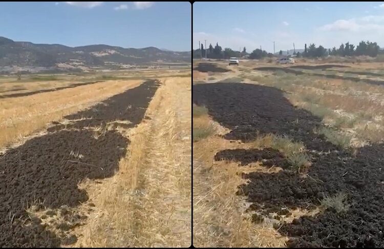Arıtma tesisinden çıkan çamuru tarlaya döken firmaya rekor ceza