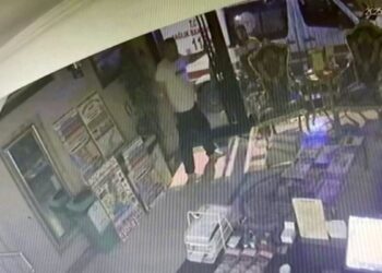 Böcek ailesinin otelde kilitli kaldığı anlar kameralara da yansıdı