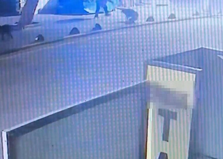 Emekli astsubay, köpeği tabancayla vurdu: İfadesi alınıp serbest bırakıldı