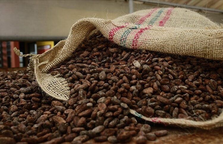 Kakao fiyatları yüzde 55 gerilerken, bu durum market raflarına yansımadı