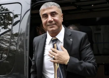 İddia: Sedat Peker, Rojin Kabaiş olayında avukatını görevlendirebilir