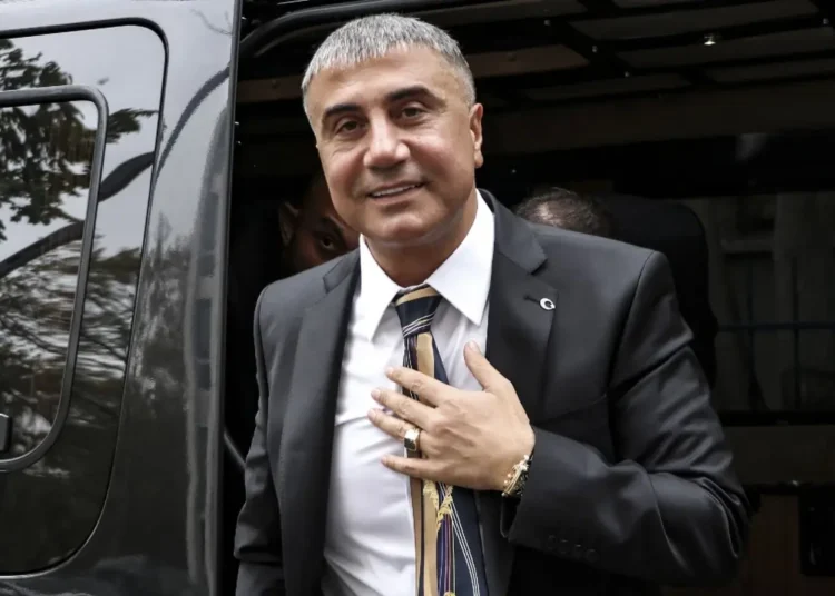 İddia: Sedat Peker, Rojin Kabaiş olayında avukatını görevlendirebilir