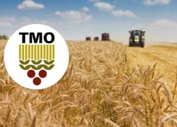 Toprak Mahsulleri Ofisi, Cumhuriyet tarihinin rekorunu kırdı: Zarar 12 milyar TL