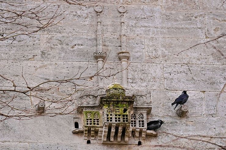 Osmanlı döneminden kalma 'kuş sarayları' BBC'de: Şefkat göstergesi