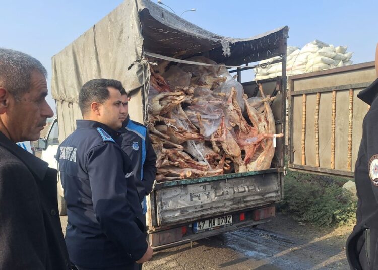 Zehirlenmeler ders olmadı, 2 ton bozuk et ele geçirildi