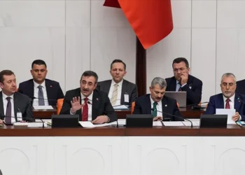 Cevdet Yılmaz o sözlerini düzeltti: Keşke öyle demeseydim, siyaseten yanlış yaptım