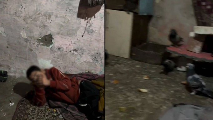 11 yaşındaki engelli çocuk, 7 yıldır güvercin kümesinde tutuluyormuş 1 11 yaşındaki engelli çocuk, 7 yıldır güvercin kümesinde tutuluyormuş