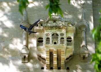 Osmanlı döneminden kalma ‘kuş sarayları’ BBC’de: Şefkat göstergesi