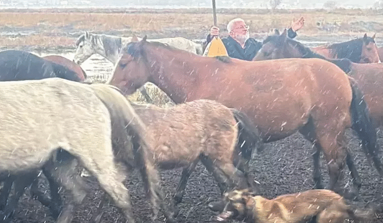 Sürünün içerisinde klip çekimi yapan Onur Akın’a at çarptı 1 Sürünün içerisinde klip çekimi yapan Onur Akın’a at çarptı