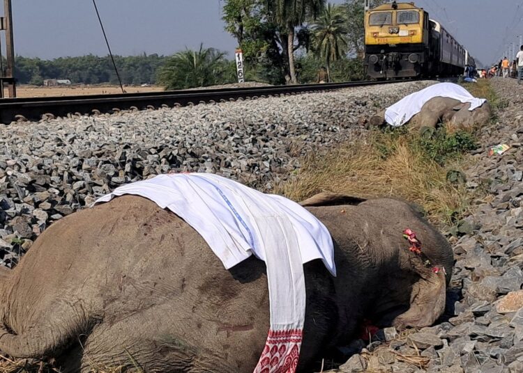 Hindistan'da tren kazası: Raylardan kaçamayan 7 fil hayatını kaybetti 1 Hindistan’da tren kazası: Raylardan kaçamayan 7 fil hayatını kaybetti
