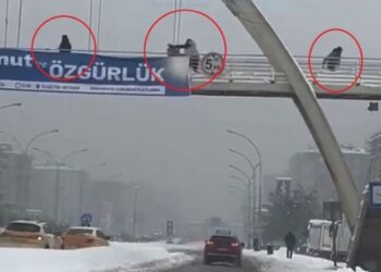 Kartopu atan çocukları yumruklayıp tekmeledi