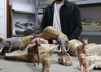 Bu hayvanlar bir zamanlar Kayseri’de yaşamış