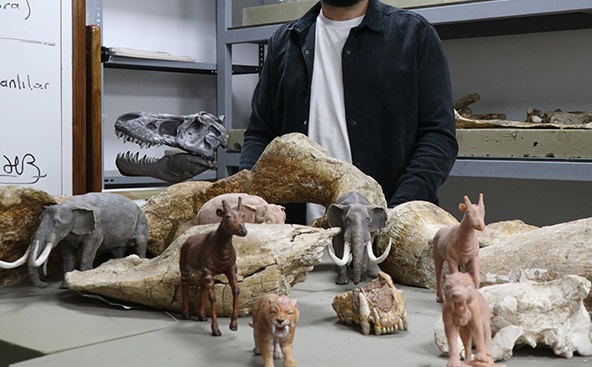 Bu hayvanlar bir zamanlar Kayseri'de yaşamış 1 Bu hayvanlar bir zamanlar Kayseri’de yaşamış