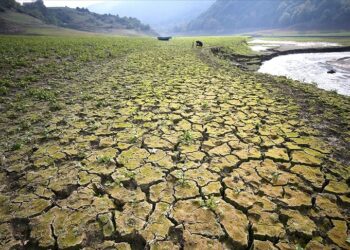 Tuna Cevher yazdı I Türkiye, 52 yılın en düşük yağışıyla karşı karşıya: Kuraklık tarımı derinden etkiliyor