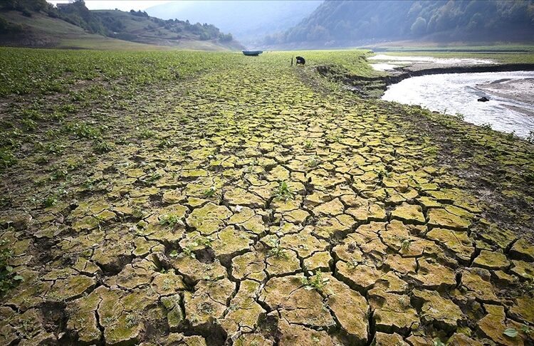 Tuna Cevher yazdı I Türkiye, 52 yılın en düşük yağışıyla karşı karşıya: Kuraklık tarımı derinden etkiliyor 1 Tuna Cevher yazdı I Türkiye, 52 yılın en düşük yağışıyla karşı karşıya: Kuraklık tarımı derinden etkiliyor