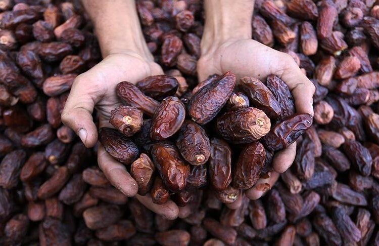 İftar sofralarının vazgeçilmezi hurma el yakıyor 1 İftar sofralarının vazgeçilmezi hurma el yakıyor