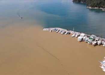 Seller Gökova Körfezi’nin rengini değiştirdi