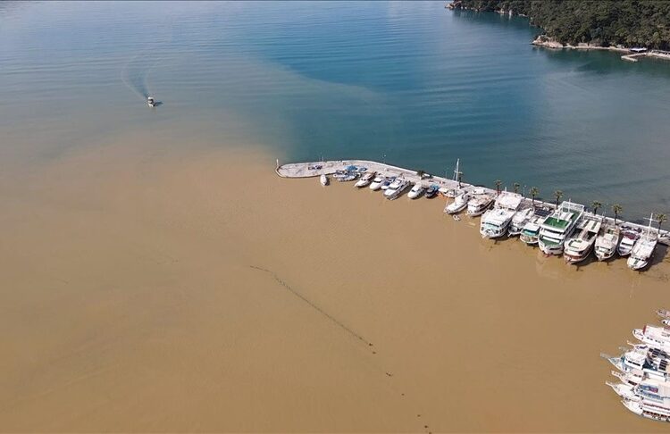 Seller Gökova Körfezi’nin rengini değiştirdi