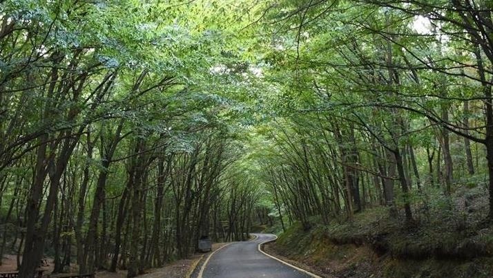 21 ilde birçok alan orman sınırları dışına çıkarıldı 1 21 ilde birçok alan orman sınırları dışına çıkarıldı