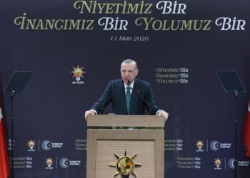 Cumhurbaşkanı Erdoğan: Türkiye savaşın değil, barışın yanındadır