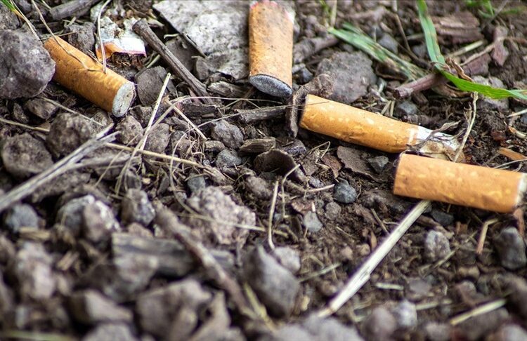 Cinayet, olay yerinde bırakılan izmaritle aydınlatıldı