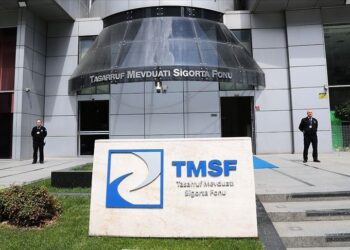 TMSF dört ticari ve iktisadi bütünlüğü satışa çıkardı
