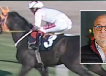 Kavurma yapılan yarış atının sahibine 132 bin lira ceza kesildi 